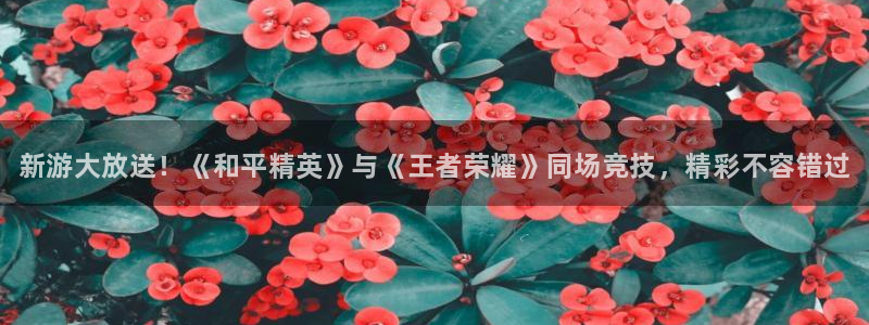 赢咖娱乐平台负责人：新游大放送！《和平精英》与《王者荣耀》同