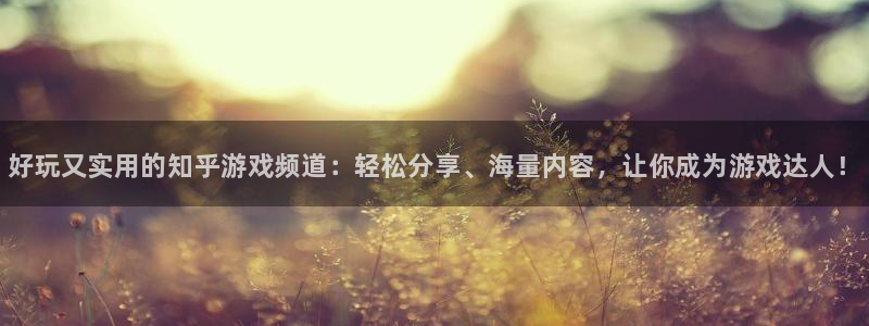 赢咖娱乐平台官网入口：好玩又实用的知乎游戏频道：轻松分享、海