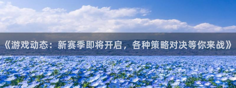 赢咖娱乐主管：《游戏动态：新赛季即将开启，各种策略对决等你来