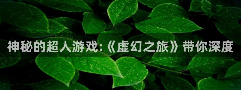 赢咖娱乐平台官网登录：神秘的超人游戏:《虚幻之旅》带你深度