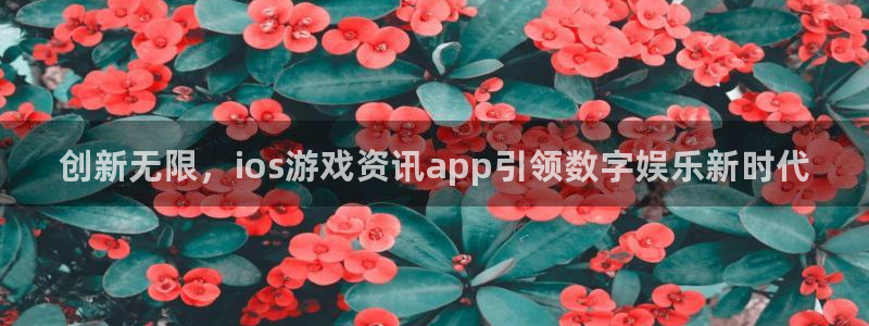 赢咖娱乐登录网址：创新无限，ios游戏资讯app引领数字娱乐
