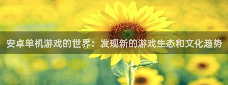 赢咖娱乐注册登录平台：安卓单机游戏的世界：发现新的游戏生态和