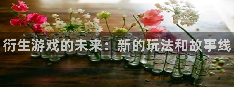 赢咖娱乐Ii：衍生游戏的未来：新的玩法和故事线
