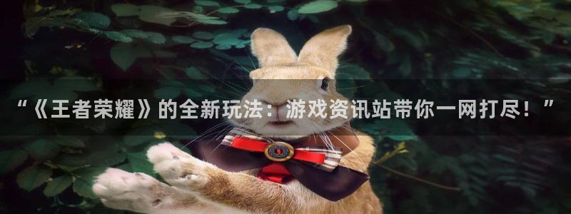 赢咖娱乐2登录：“《王者荣耀》的全新玩法：游戏资讯站带你一网