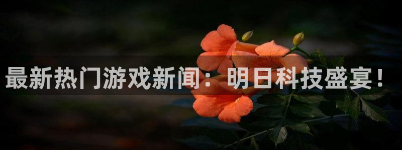 赢咖娱乐的意思：最新热门游戏新闻：明日科技盛宴！