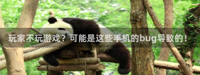 赢咖娱乐下载链接：玩家不玩游戏？可能是这些手机的bug导致的