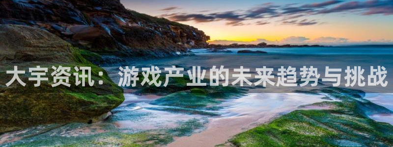 赢咖娱乐游戏：大宇资讯：游戏产业的未来趋势与挑战