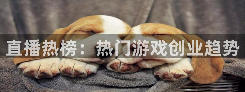 赢咖娱乐app下载：直播热榜：热门游戏创业趋势